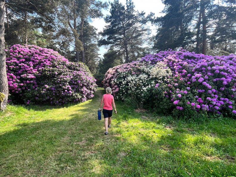 23-06-03 16-34-10 5781